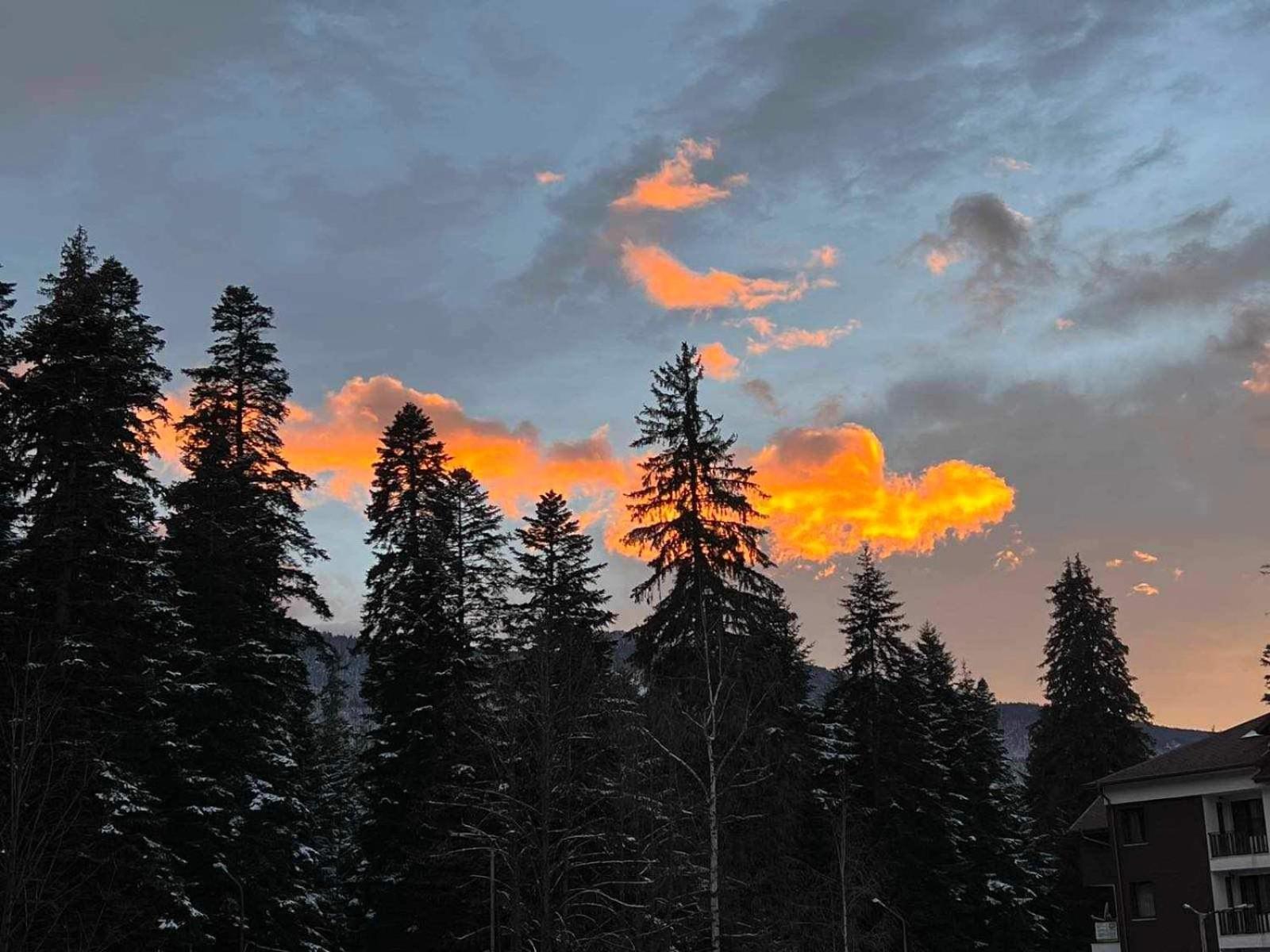 Arboro Royal Plaza Leilighet Borovets Eksteriør bilde