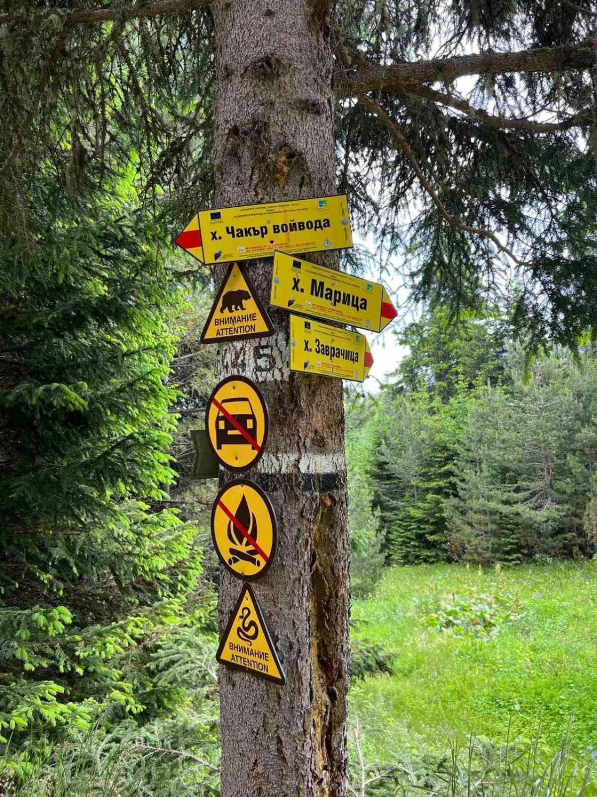 Arboro Royal Plaza Leilighet Borovets Eksteriør bilde