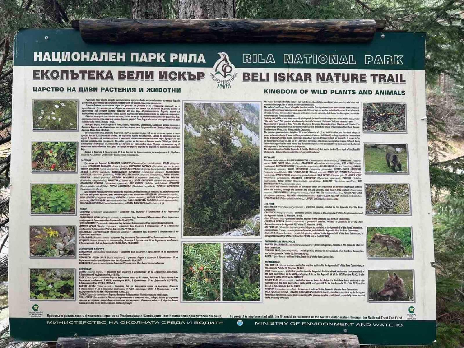 Arboro Royal Plaza Leilighet Borovets Eksteriør bilde